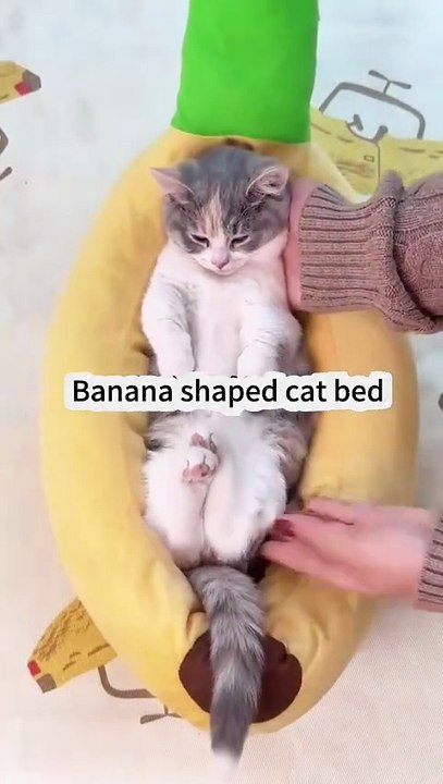 Perfectly Timed Fails – Moments Captured at the Exact Second (2025)