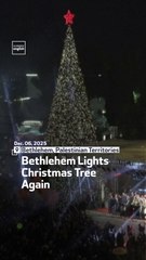 Bethlehem Lights Christmas Tree Again