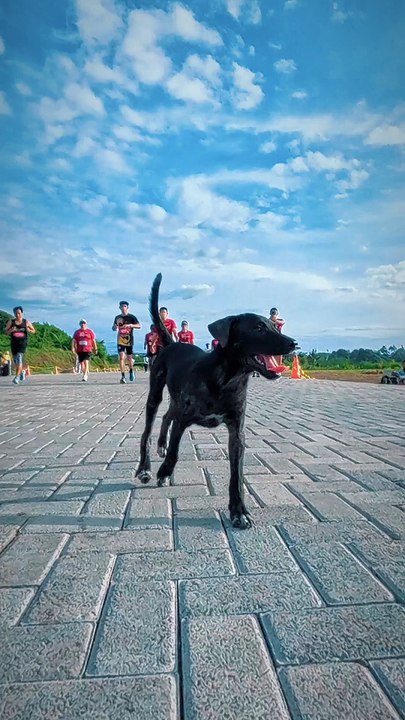 Si Paling Kalcer 😁😁😁 OPPO RUN 2025 Make Your Moment OPPO Indonesia Powered By #MyBCA 🔥🔥🔥 #OPPORUN2025 #OPPOFindX9Series #MakeYourMoment #NgurahSuryaKusuma