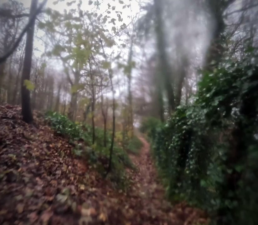 55 km de VTT sous une petite pluie avec Willy 😅