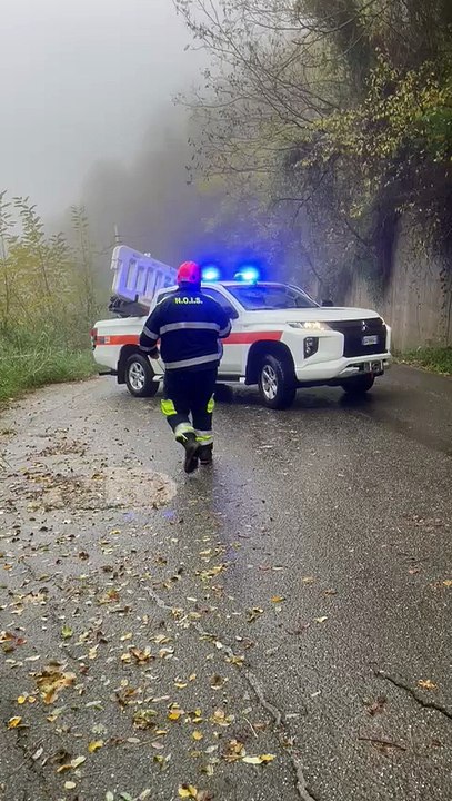 frana militello