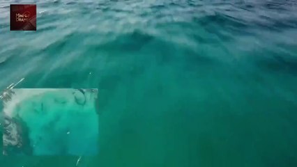 Love Island UK Saison 12 Ep 1-2 Compilation | Dating Reality Show | Série Complète Sous-Titres Français