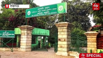 प्रदूषण को खत्म करने का वैज्ञानिकों ने खोज निकाला विकल्प, जानिए कैसे माइक्रो और नैनोप्लास्टिक से बनेगा केमिकल वाटर