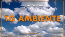 Tg Ambiente - 7/12/2025