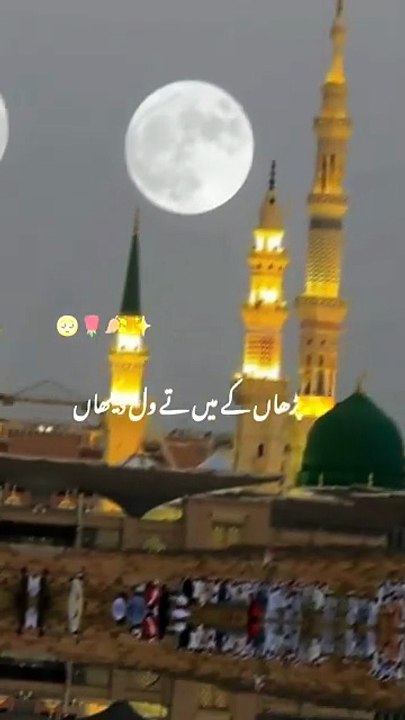 Peerr Ajmal raza qadri punjabi poetry#islamic short#statusviral#shorts