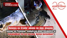 Nahuling buwaya, hinila ng mga residente na parang kotse-kotsehan? | Kapuso Mo, Jessica Soho
