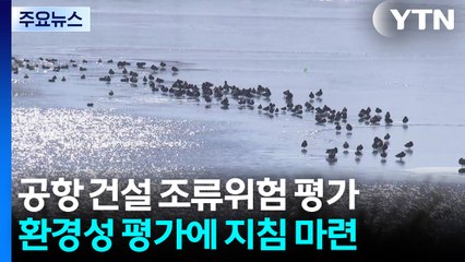 "공항 건설 때 조류 위험 평가"...이달 첫 지침 나온다 / YTN