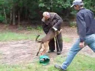 PHV   lol Jaaa Neeee!