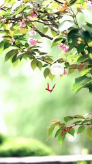 I Run Eternity, All Bow To Me