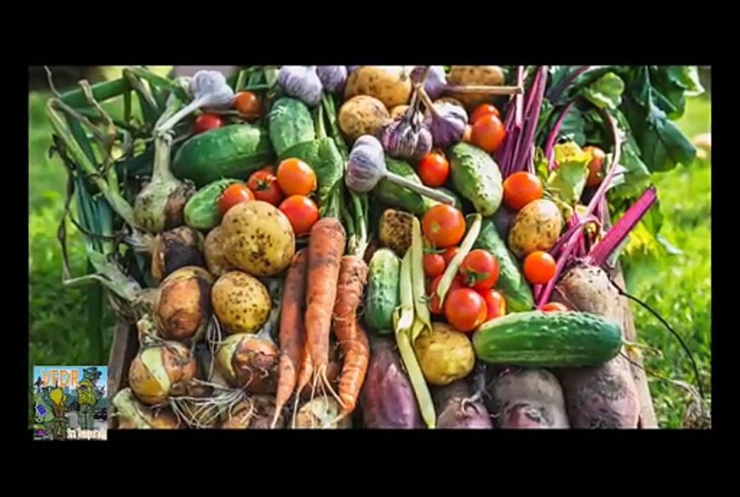 03 Autosuficiencia - alimentos