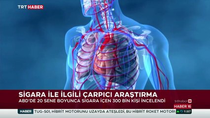 Sigarayla ilgili çarpıcı araştırma