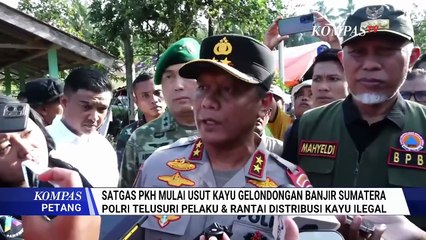 [FULL] Respons Eks Kabareskrim Polri & Greenpeace soal Siapa Dalang di balik Perusak Hutan Sumatera