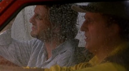 Il pesce innamorato (1999)