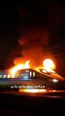 Pourquoi le Japon doit arroser ses trains en hiver ?