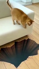Cat And Dog Afraid Every time viral funny videos