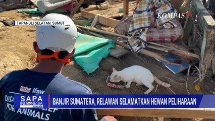 Selamatkan Hewan Peliharaan, Relawan dari Animal Rescue Terobos Lokasi Banjir & Longsor di Sumut