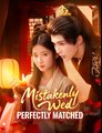 Mistakenly Wed Perfectly Matched - Drama FULL MOVIES ENGLISH SUB
