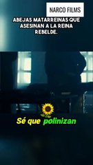 Abejas matarreinas que asesinan a la reina rebelde (online-video-cutter.com)