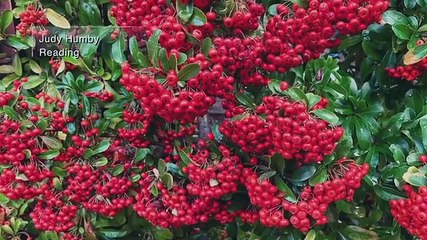 Love Your Weekend with Alan Titchmarsh - Season 7 Episode 33