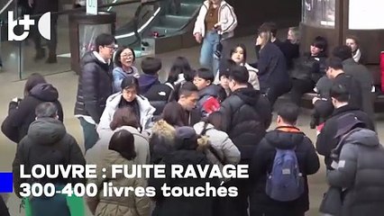 Chaos au Louvre : vol spectaculaire de bijoux, tuyaux éclatent et renversent les fonds égyptiens