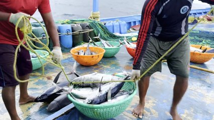Epic Gulf Expedition: Hooking Monsters From the Deep Blue Sea