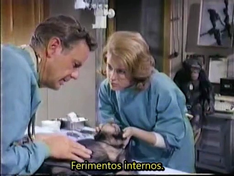 Daktari S01E08 The Chimp Who Went Ape_burn-in_512x384_x264