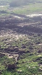 Karaburun’da Fırattekstil GES projesi mahkeme kararına rağmen başladı