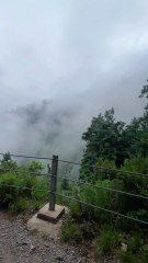 Nature #nature #naturevibes