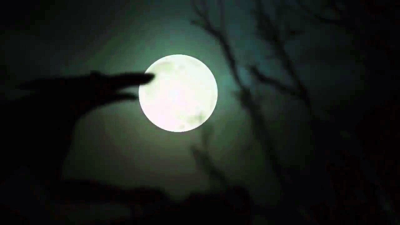 ABERTURA - CINE ALTA TENSÃO - REDE BRASIL