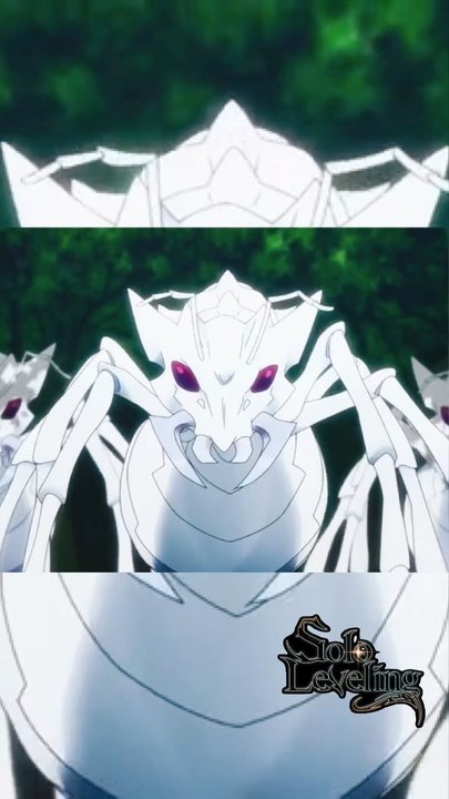 Solo Leveling S1 EP1 VF