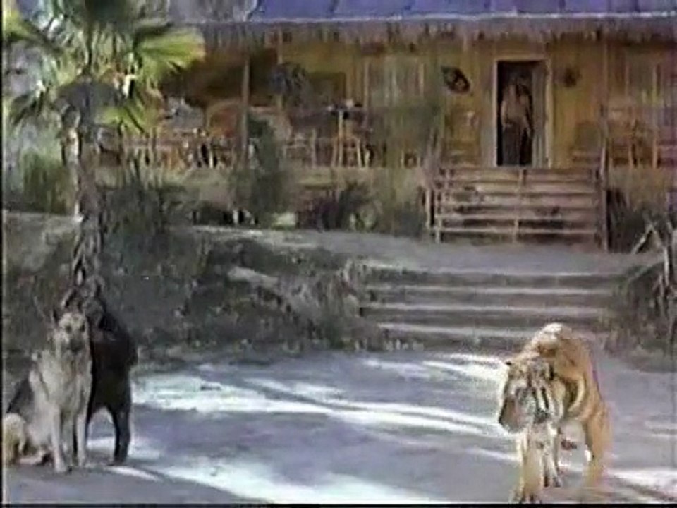 Daktari S01E09 The Killer Dog_burn-in_512x384_x264