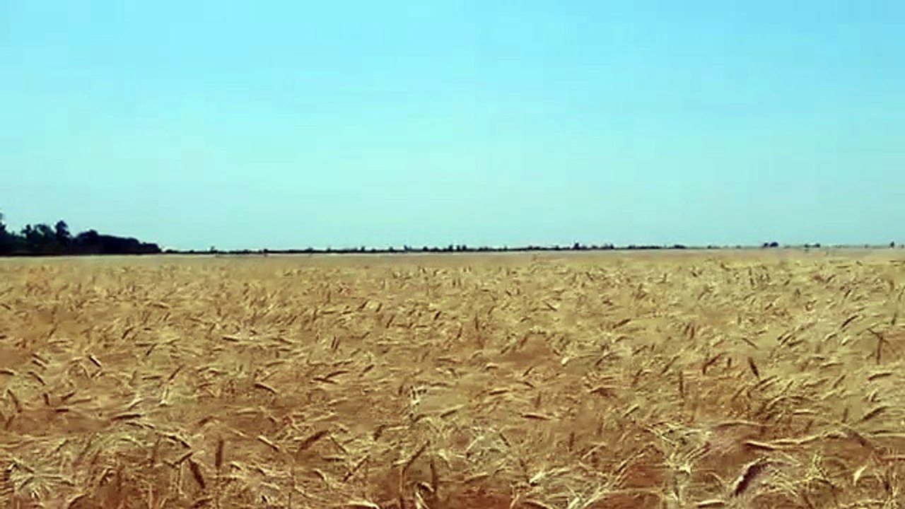 muslimanon per islam ky baad kia mazalim aay episode no 07