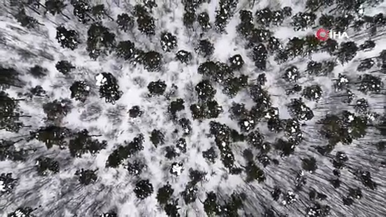Frozen Lake Forms Winter Scene in Tokat, Türkiye