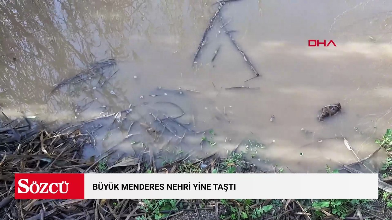 Büyük Menderes Nehri yine taştı; Köşk ilçesinde tarım alanlarını su bastı