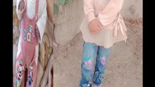 Punjabi mahol