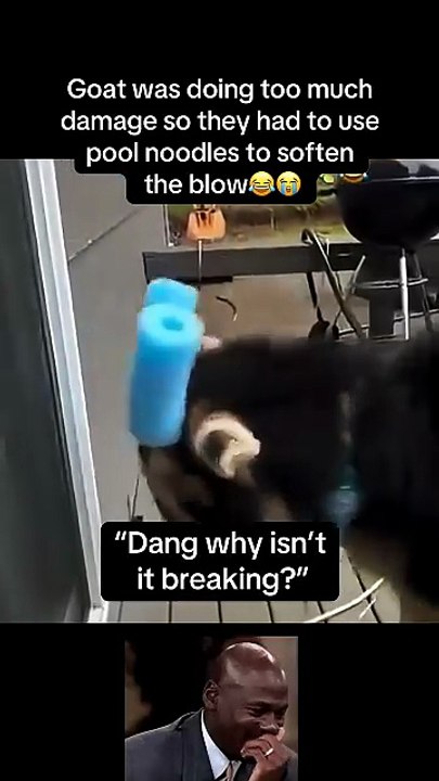 Goat was doing too much😂 #fyp #viral #animals #goat #goats #cute #funny #fypシ #shorts #ytshorts #yt