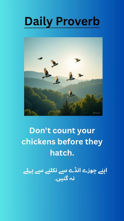 English proverbs