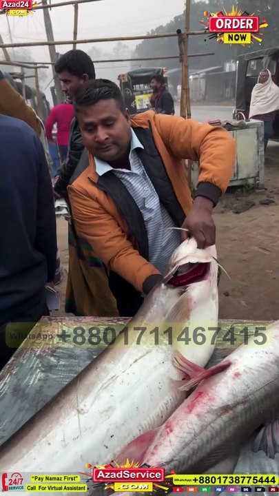 পদ্মা নদীর অনেক বড়