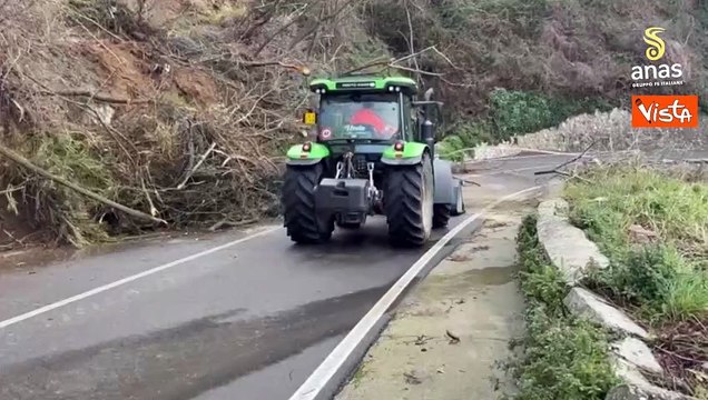 Anas e Vigili del Fuoco salvano il cane Giorgio sulla SS 19 a Tiriolo (CZ)