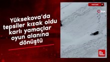 Hakkari'de tepsiler kızak oldu karlı yamaçlar oyun alanına dönüştü