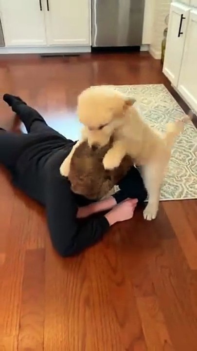 Adorable Puppy and Owner Affection #puppy #dog #kingdomofawais