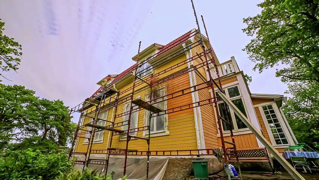 VID1