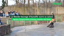 Le Monde Sauvage d'Aywaille ouvre sa saison 2026 après d'importants travaux menés l'hiver dernier