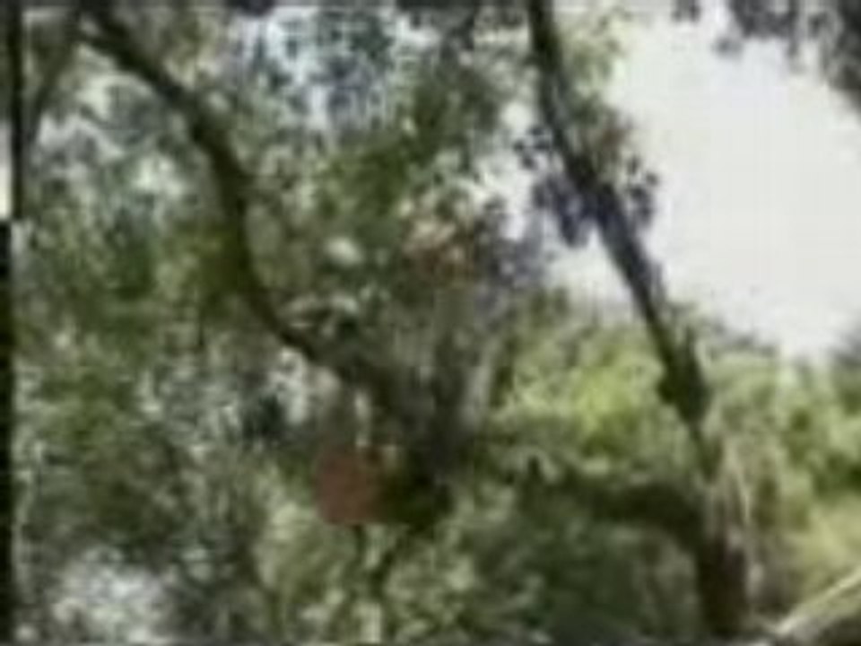 YouTube - CRAZY JUMPS