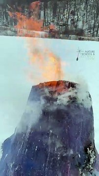 🌋 My students at Nature School Niagara enjoying their Volcano! 🌋