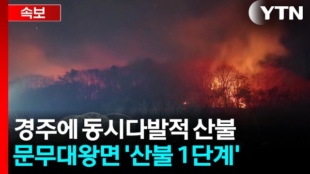 [속보] 경주 문무대왕면에 산불 1단계...양남면엔 소방대응 1단계 계속 / YTN