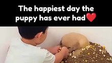 The happinest day the puppy has ever had❤️