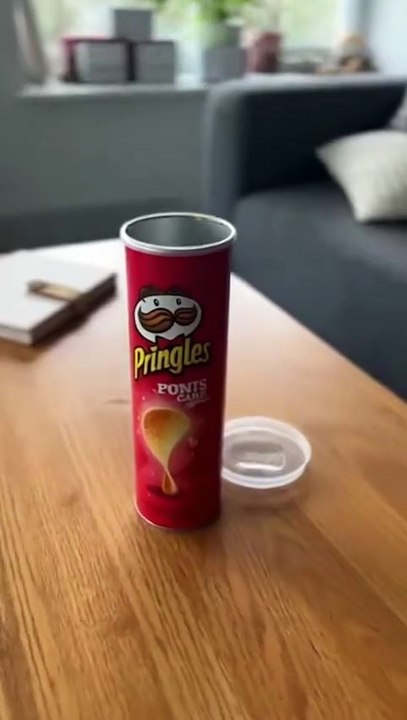 This cat loves chips 😄
