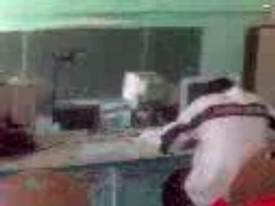 Chinoi pèt 1 cable