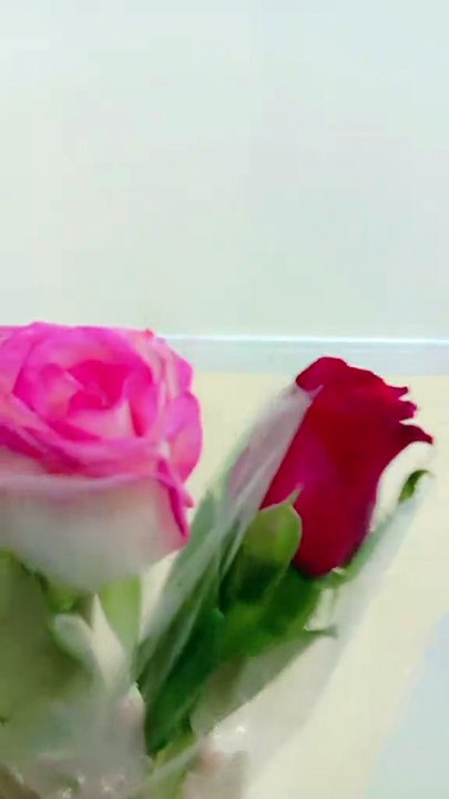 Beautiful flower